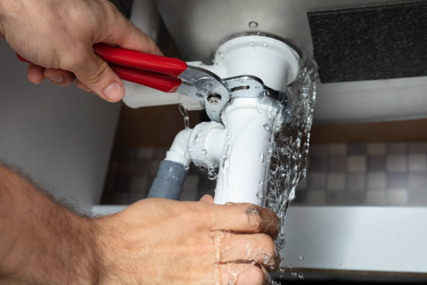 Best Professional water damage repair  in Jarales, NM
