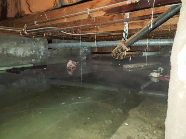 Best Emergency water damage restoration  in Jarales, NM