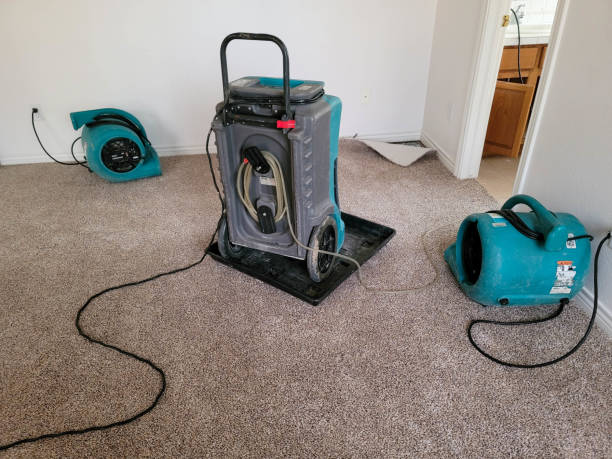  Jarales, NM Water damage restoration Pros