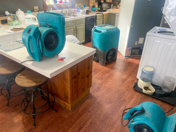 Best Water damage restoration near me  in Jarales, NM