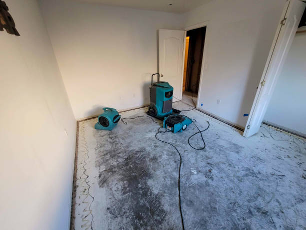 Best Commercial water damage restoration  in Jarales, NM