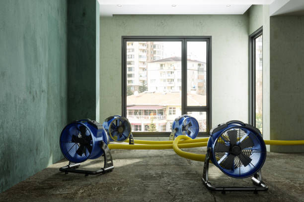 Best Ceiling water damage repair  in Jarales, NM